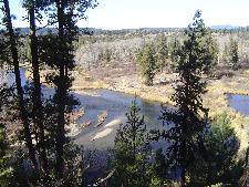MLS# 425573